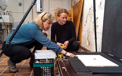 Computersimulationer skal redde skrøbelige kunstskatte